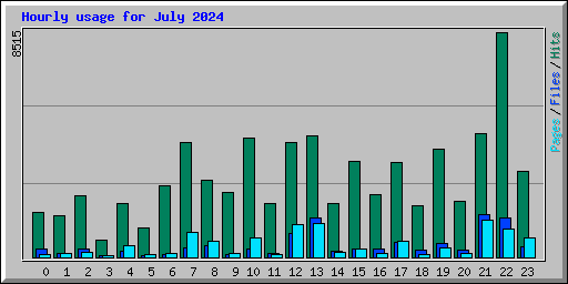 Hourly usage for July 2024