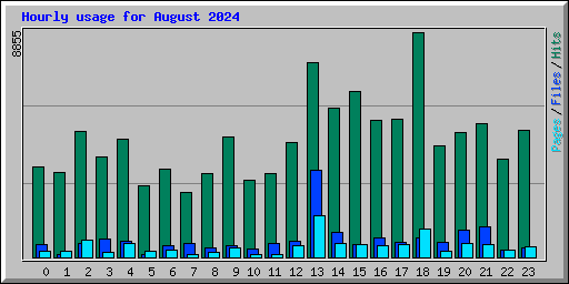 Hourly usage for August 2024