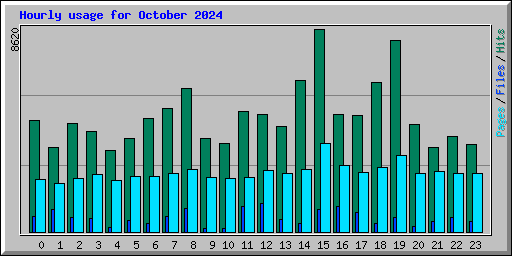 Hourly usage for October 2024