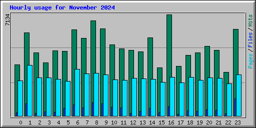 Hourly usage for November 2024
