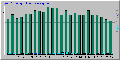 Hourly usage for January 2025