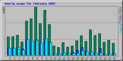 Hourly usage for February 2025