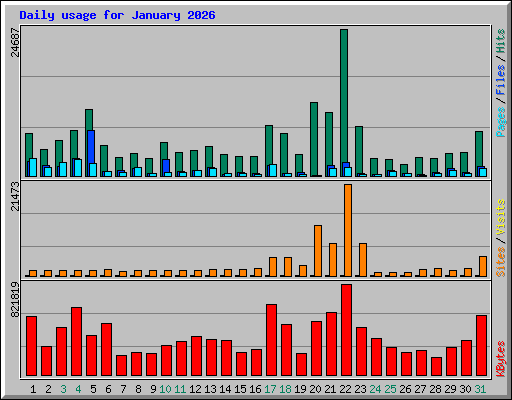 Daily usage for January 2026
