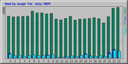Hourly usage for July 2025