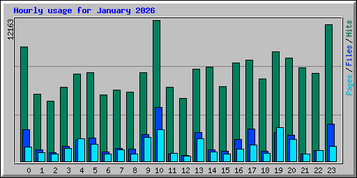 Hourly usage for January 2026